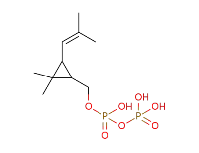 chrysanthemyl diphosphate